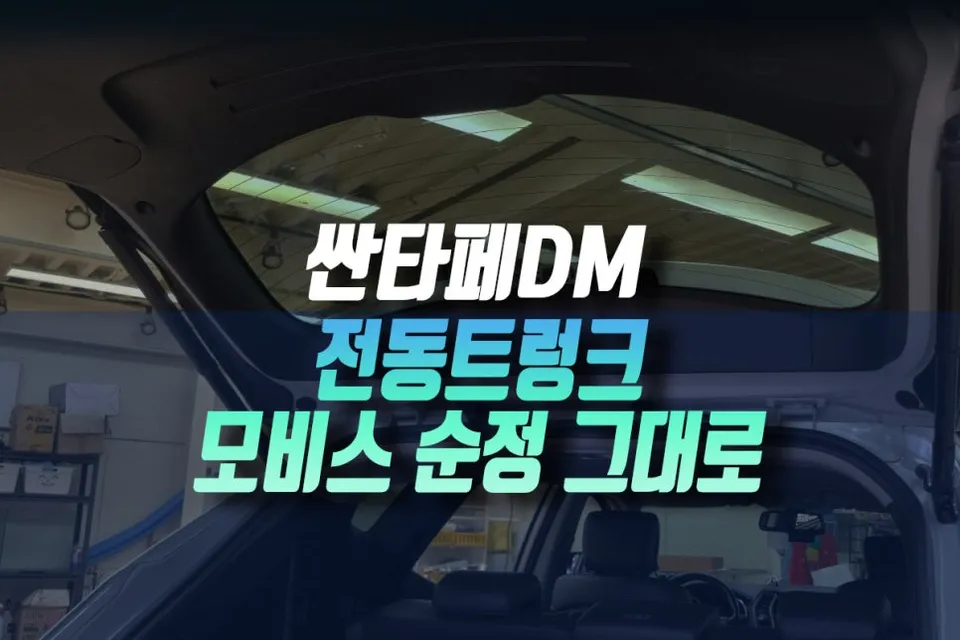 Hyundai Santa Fe oem options installation result