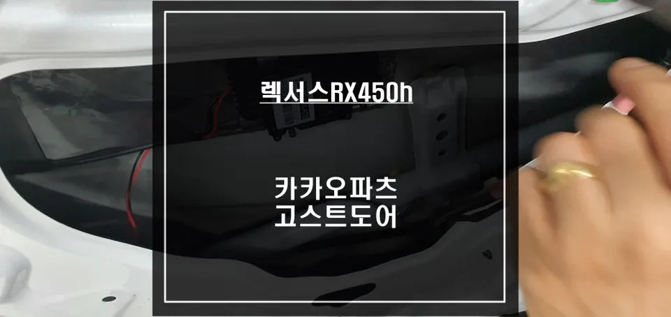 Lexus RX 450h Ghost Door Installation Review