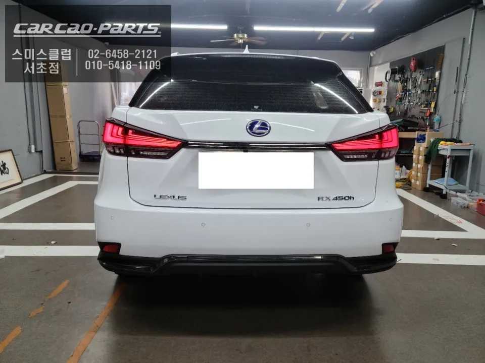 Lexus RX 450h oem options - Lexus RX 450h Ghost Door Installation Review photo 6