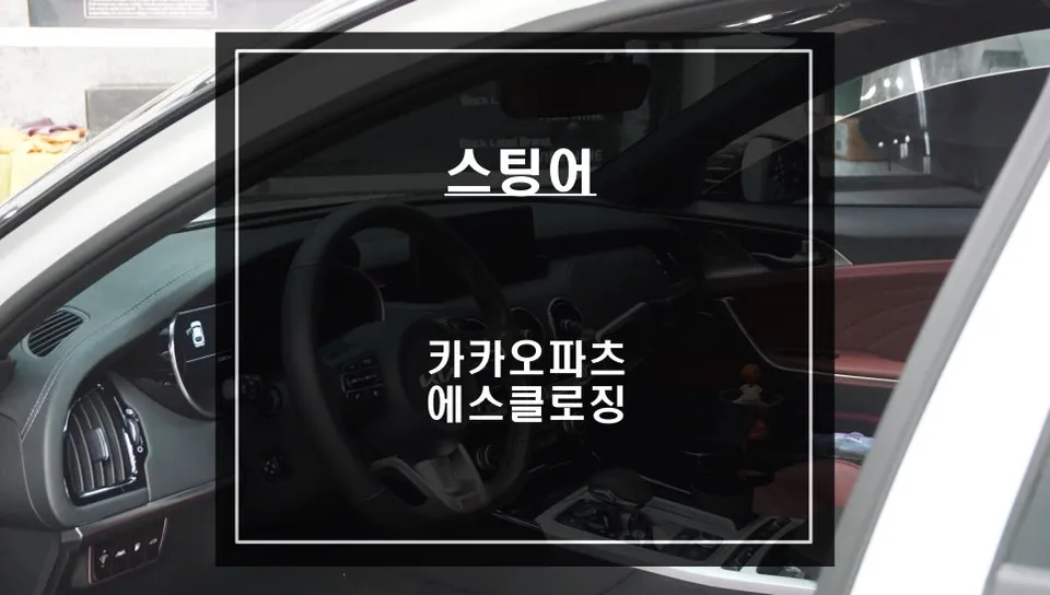 Kia Stinger Ghost Door Upgrade Review — Enhanced Luxury