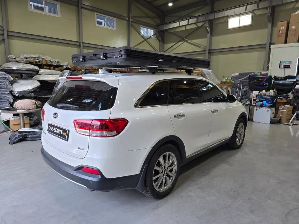 Kia Sorento ambient lighting - Kia Sorento Ambient Lighting Review — Cost & Results photo 5