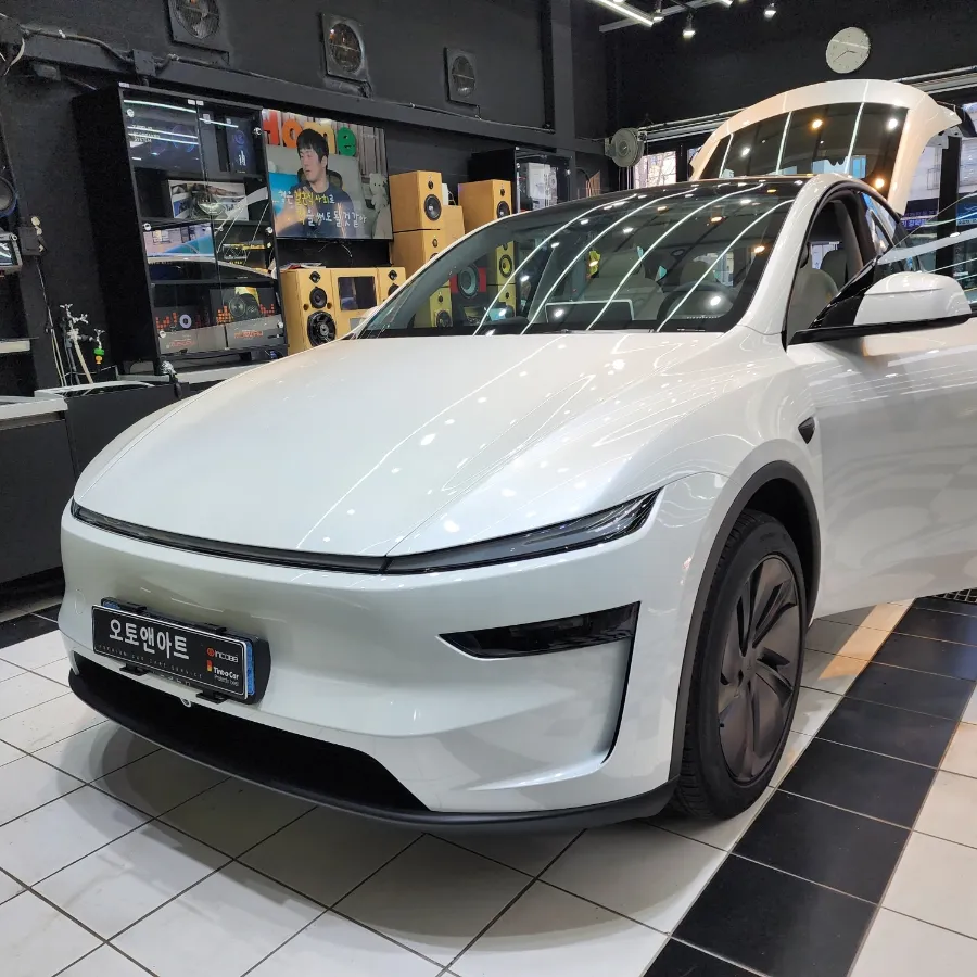 Tesla Juniper Ambient Lighting Review — Cost & Results Before