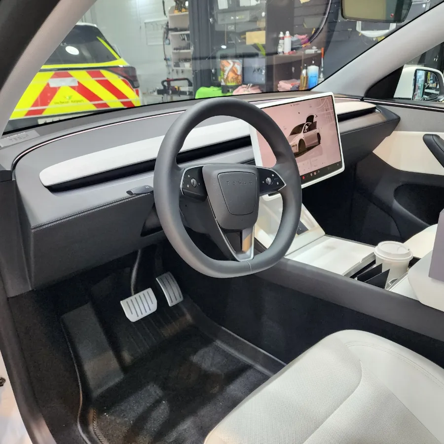 Tesla Juniper Ambient Lighting Review — Cost & Results After
