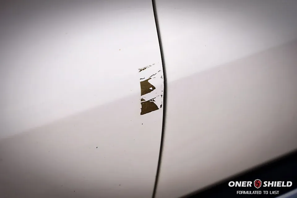 Kia Sorento MQ4のガラスコーティング事例 施工写真 4-1