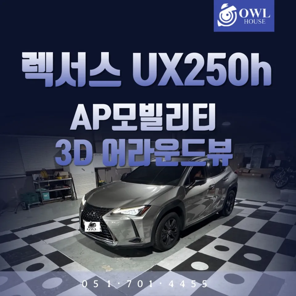 Lexus UX 250h surround view camera installation result