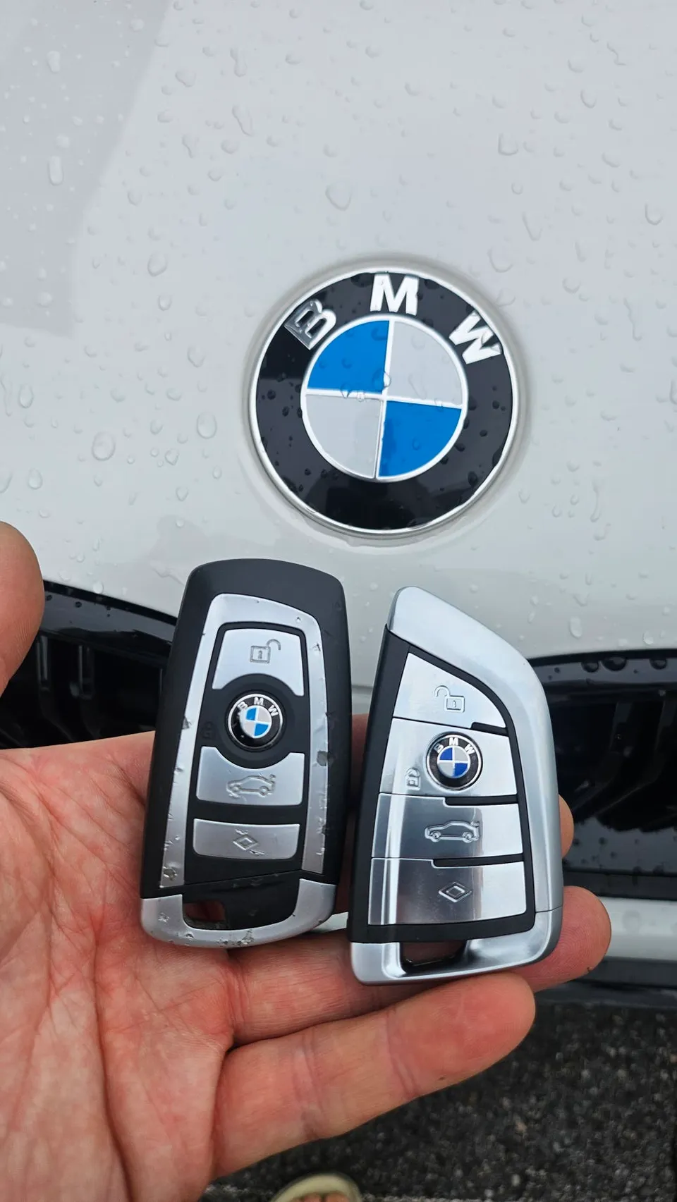 BMW X4 OEM Options Installation Cost & Review photo 2