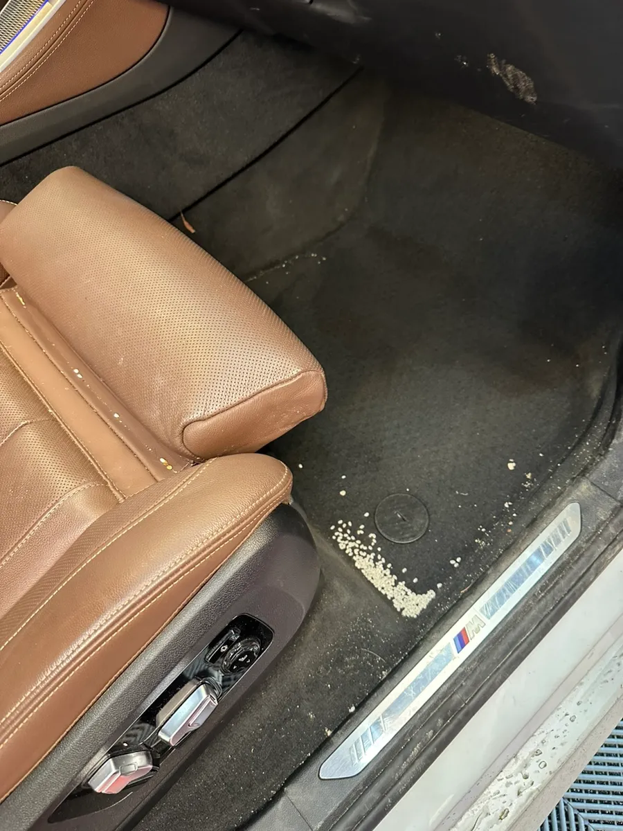 BMW X5 paint correction - BMW X5 Paint Correction Review — Under $400 photo 5