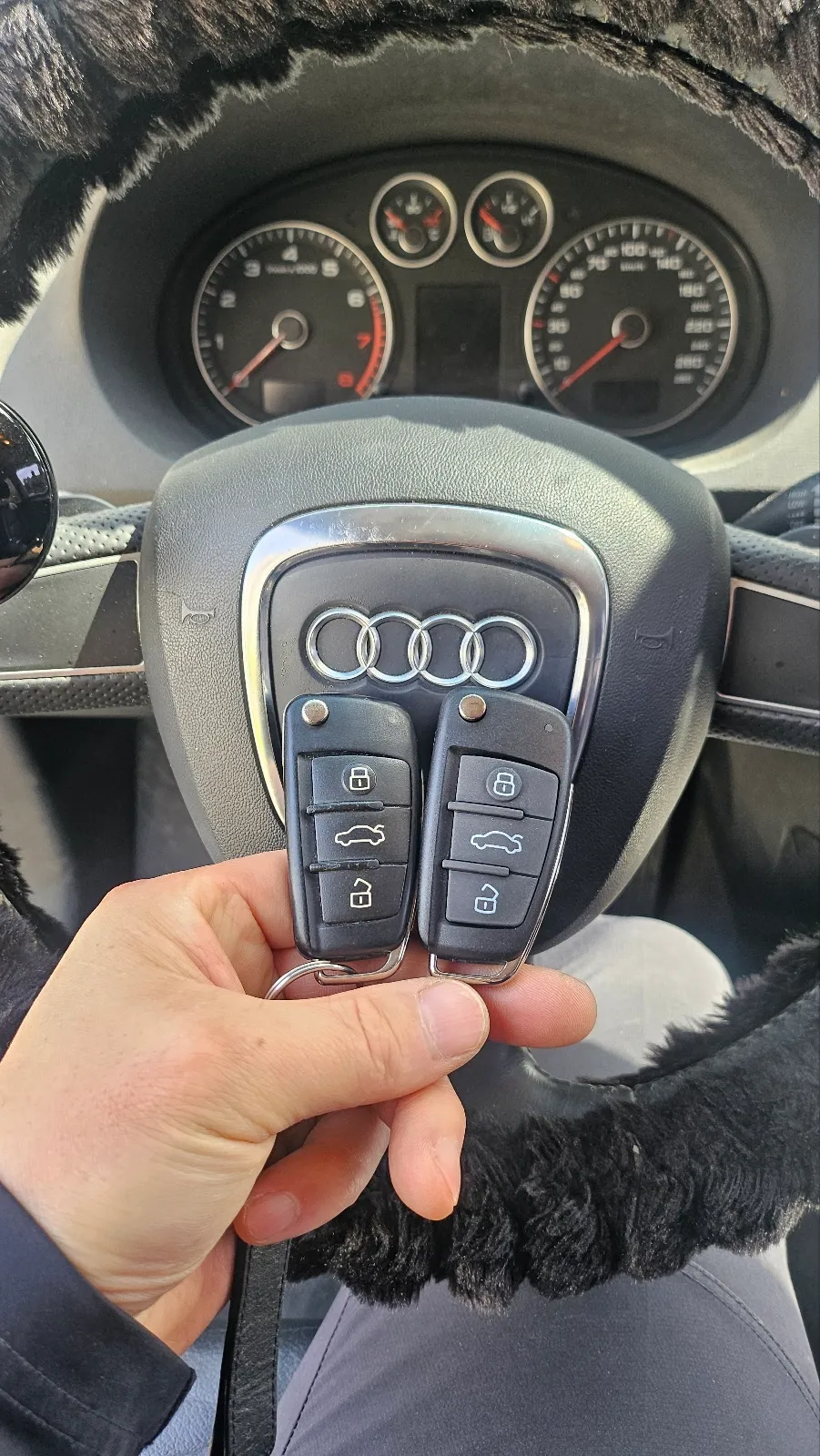 Audi A3 oem options installation result