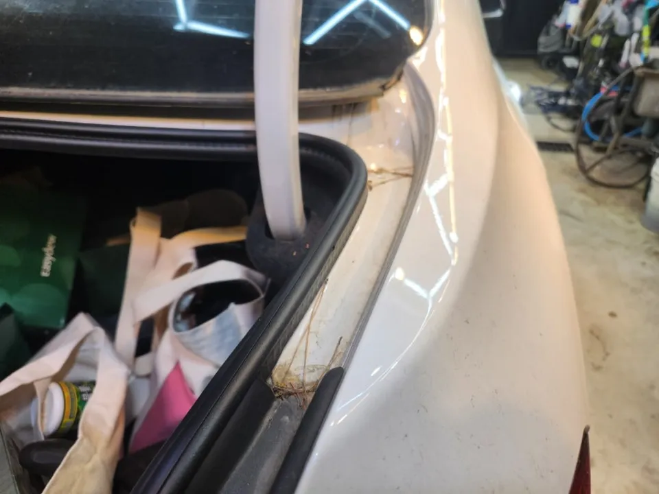 BMW 5 Series paint correction - BMW 5 Series Paint Correction & Glass Coating Review photo 4