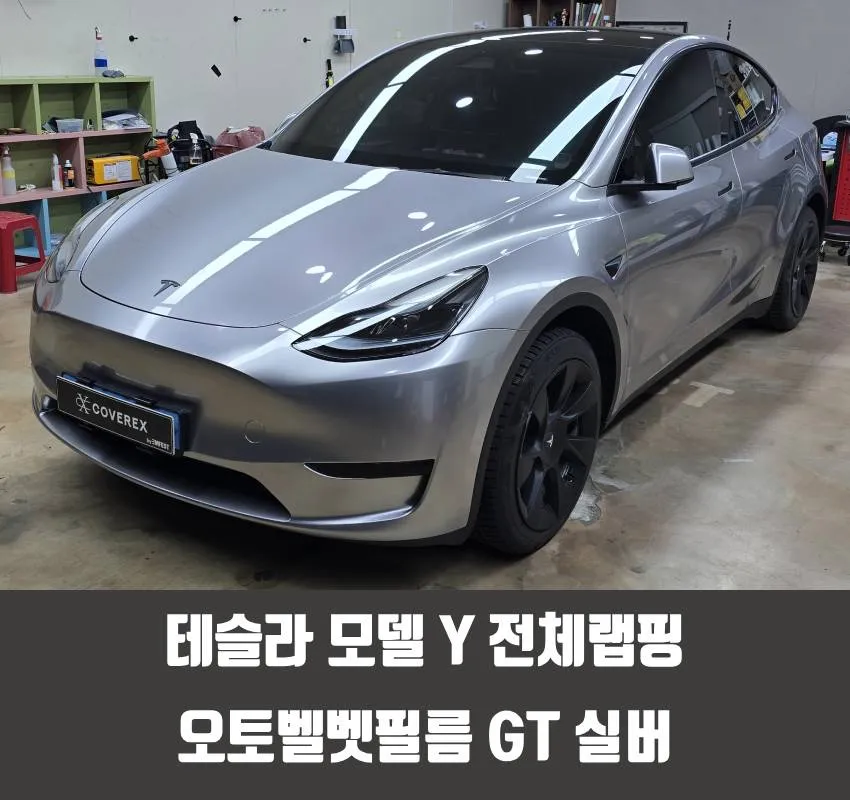Tesla Model Y vinyl wrap installation result