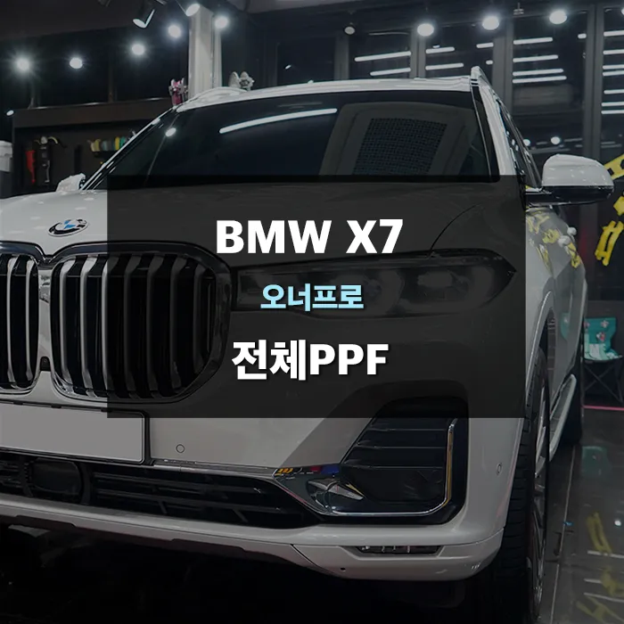BMW X7 ppf review