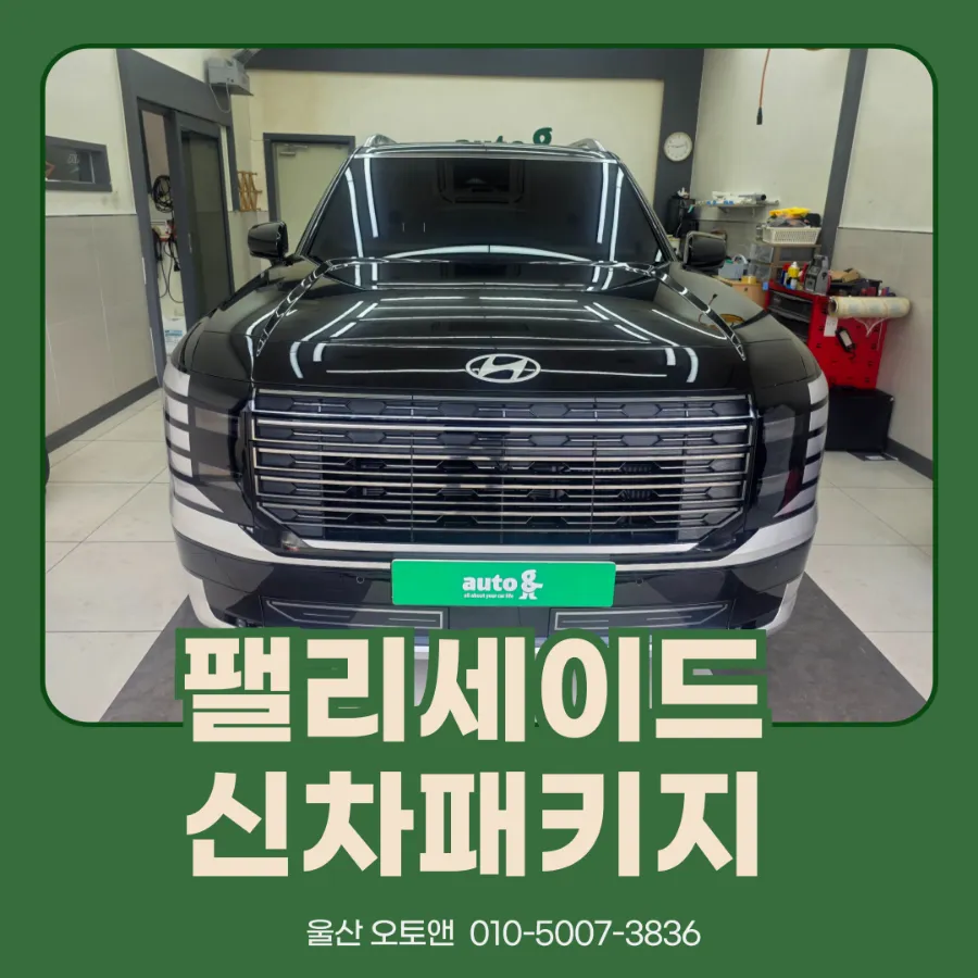 Hyundai Palisade LX3 new car package installation result