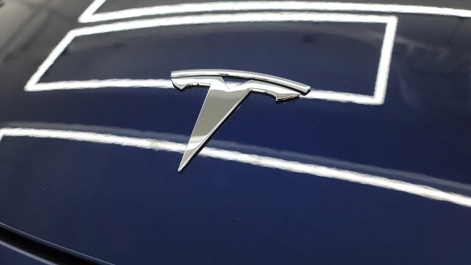 Tesla Model YのPPF施工事例|費用目安と仕上がり 施工写真 2-2