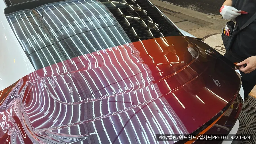 Porsche Taycan ppf - Porsche Taycan PPF Review: RedBlack Color Transformation photo 4