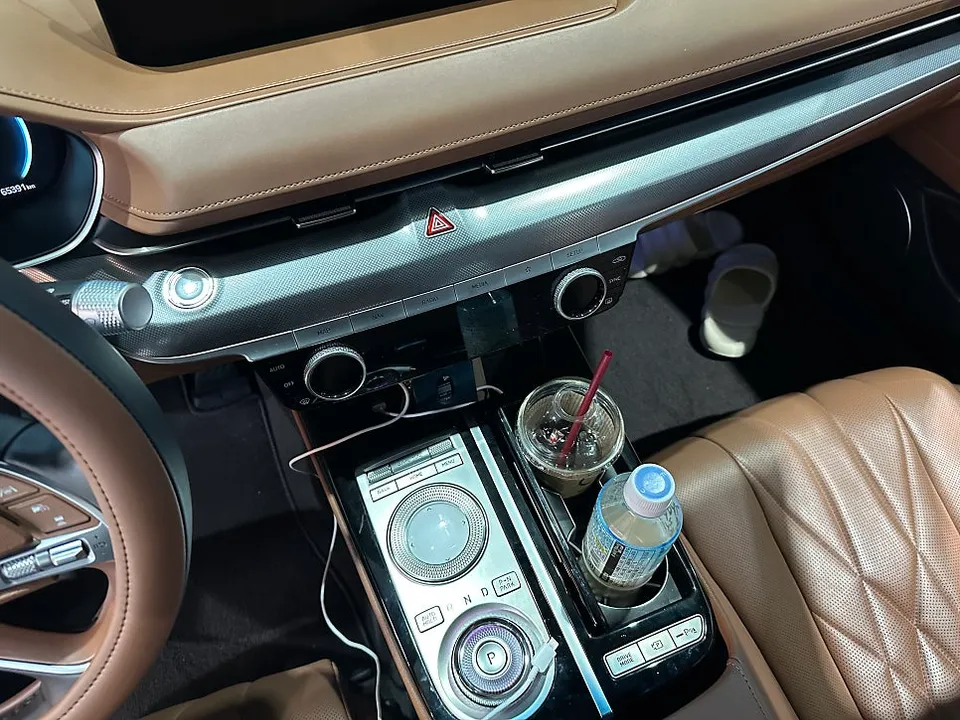 Genesis G80 Interior Customization: Wood Hydrographics Review Before