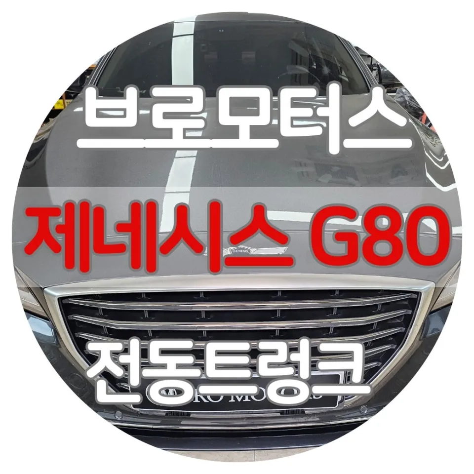 Genesis G80 oem options installation result