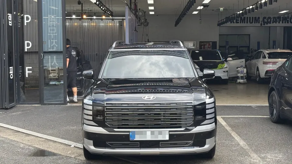 Hyundai Palisade New Car Package Review — Enhanced Protection photo 2