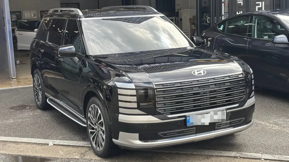 Hyundai Palisade new car package - Hyundai Palisade New Car Package Review — Enhanced Protection photo 3
