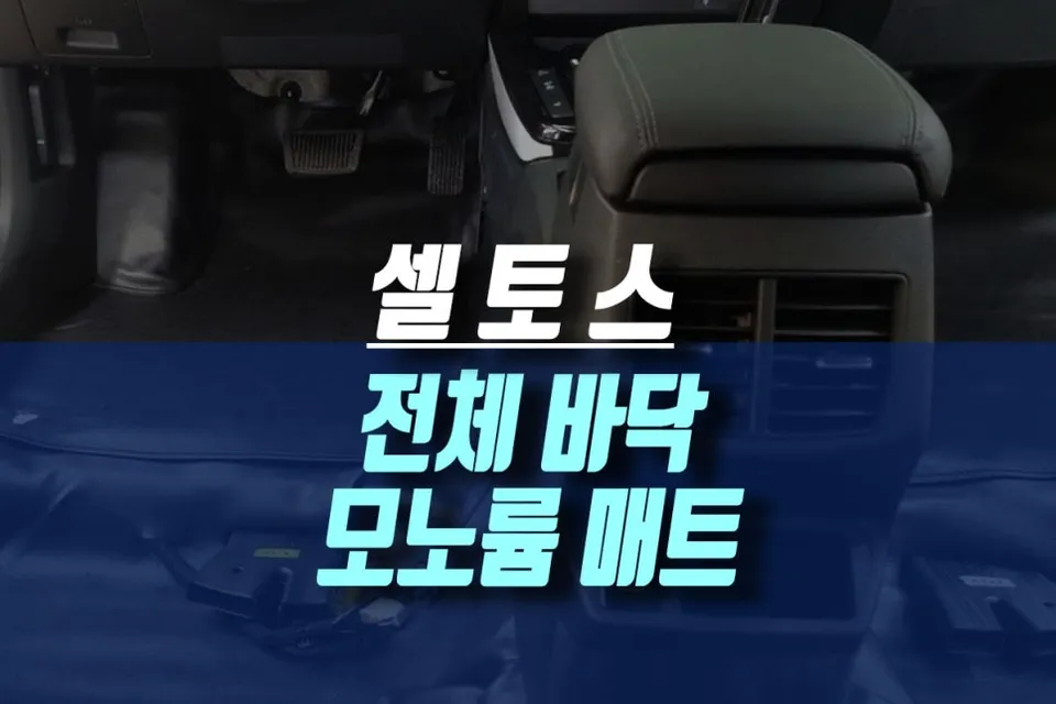 Kia Seltos interior customization review