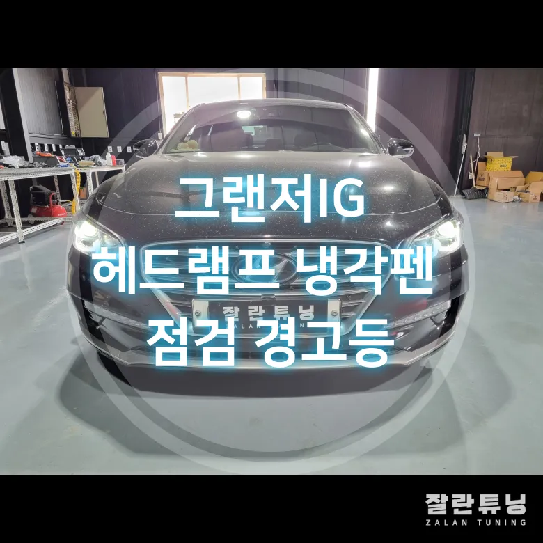 Hyundai Grandeur IG Lighting Upgrade Review: Cost & Results photo 1