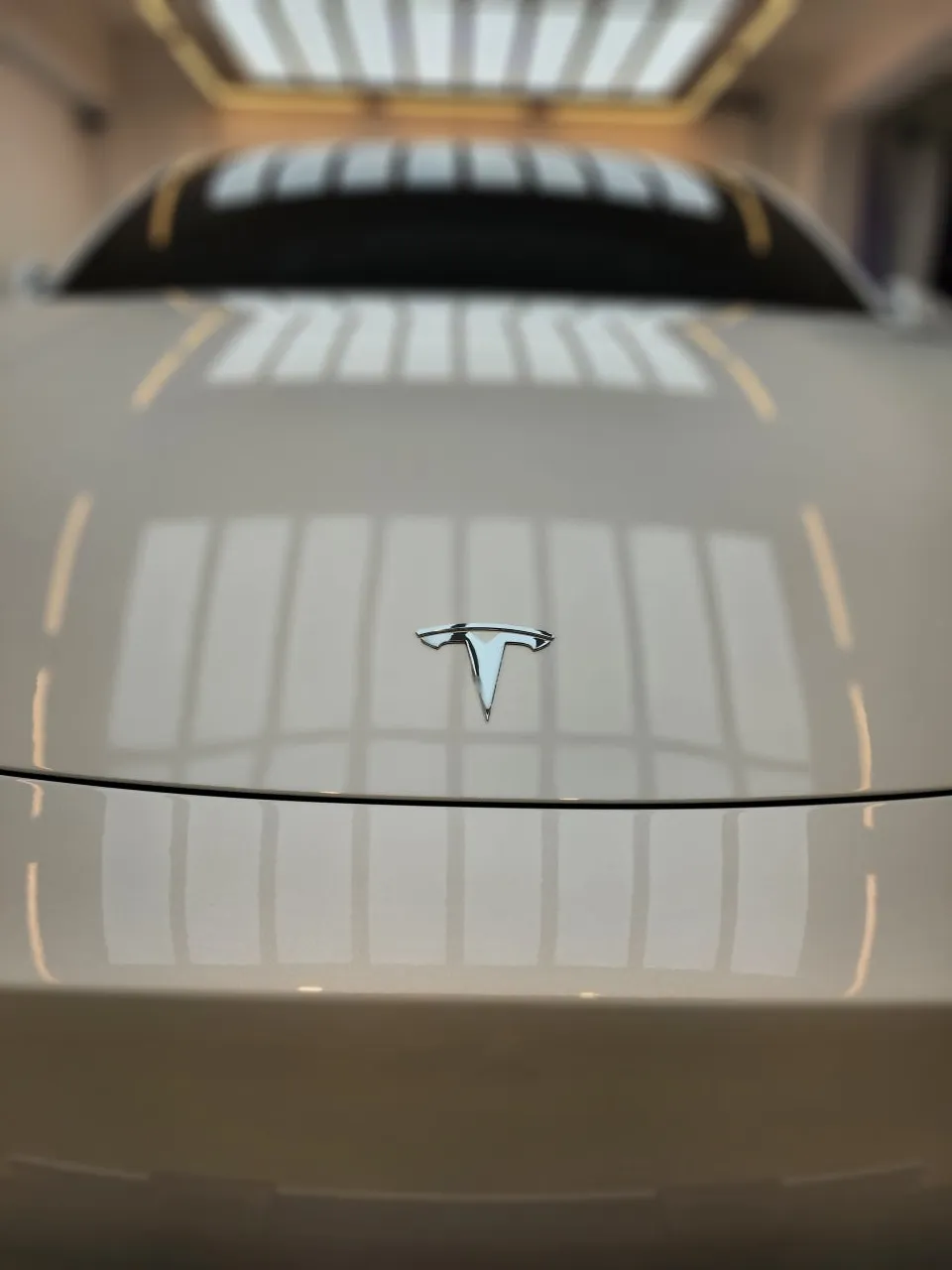 Tesla Model YのPPF施工事例|費用目安と仕上がり 施工写真 1-2