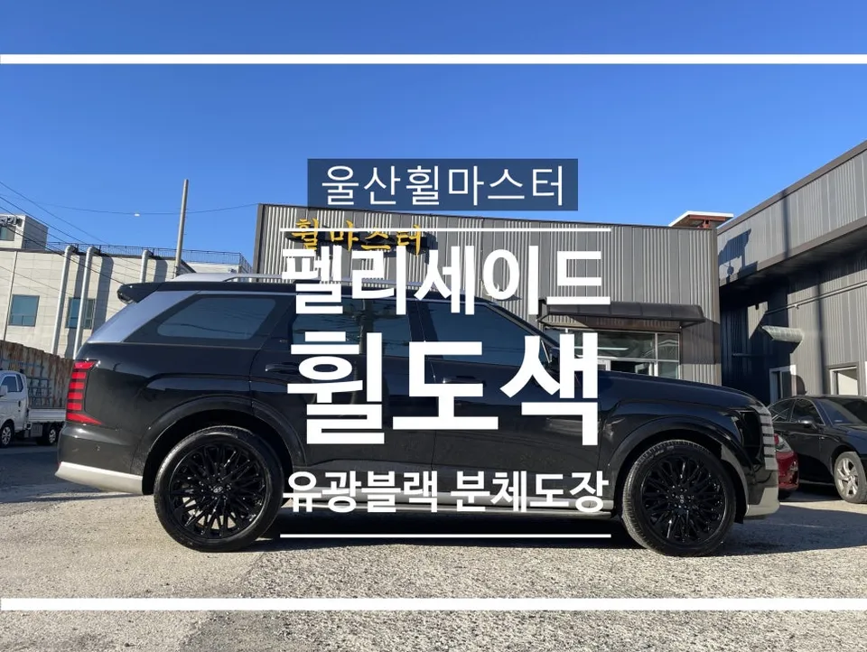 Hyundai Palisade Wheel Repair & Painting Review