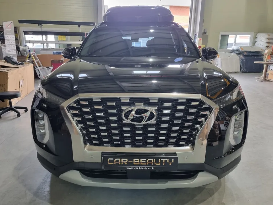 Hyundai Palisade ambient lighting review