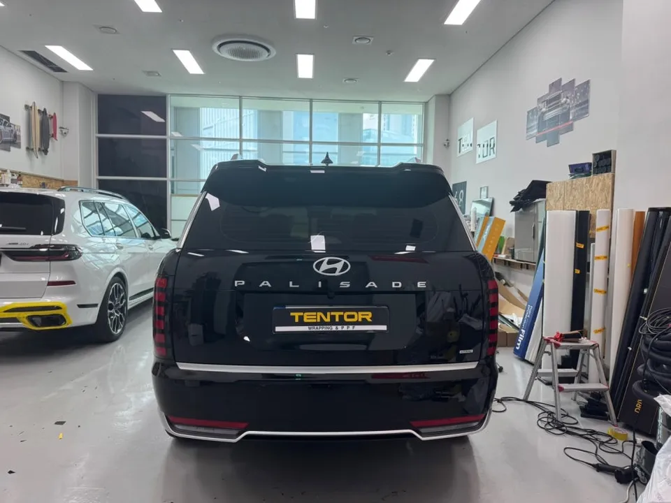 Hyundai Palisade Chrome Delete Review: All Black Transformation photo 2