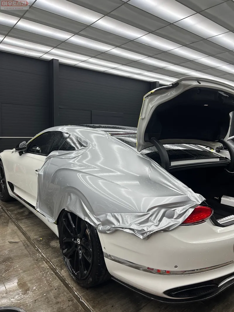 Bentley Continental GTのカラーPPF施工事例｜費用目安・仕上がり 施工写真 6