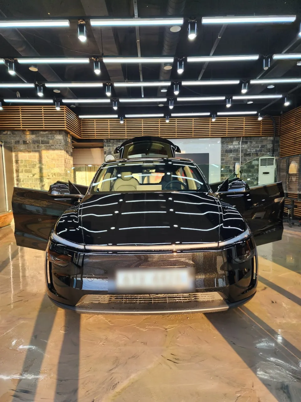 Tesla Model Y ppf review