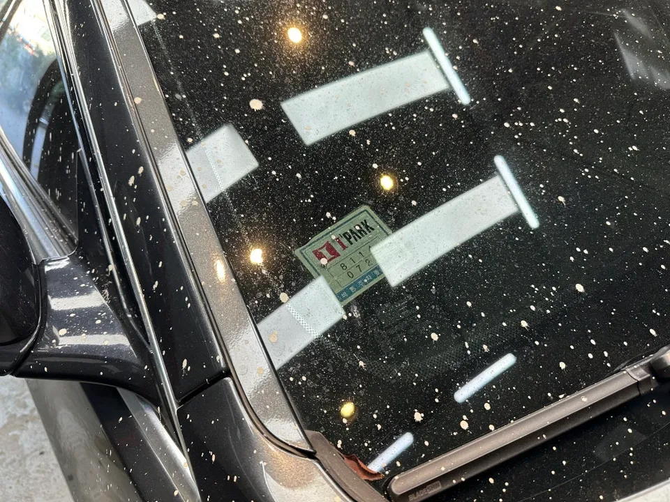 Cadillac CTS Ceramic Coating Review: Cost & Results photo 2
