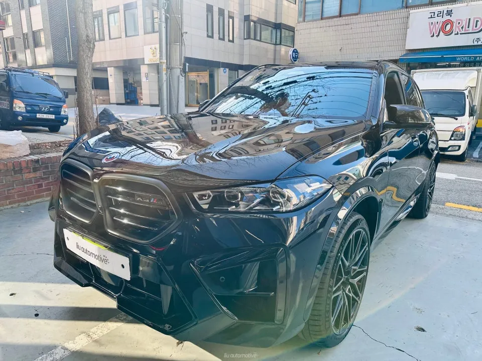 BMW X5 Other Car Service Review — Carbon Fiber Mirror Caps photo 2