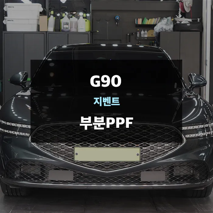 Genesis G90 ppf review
