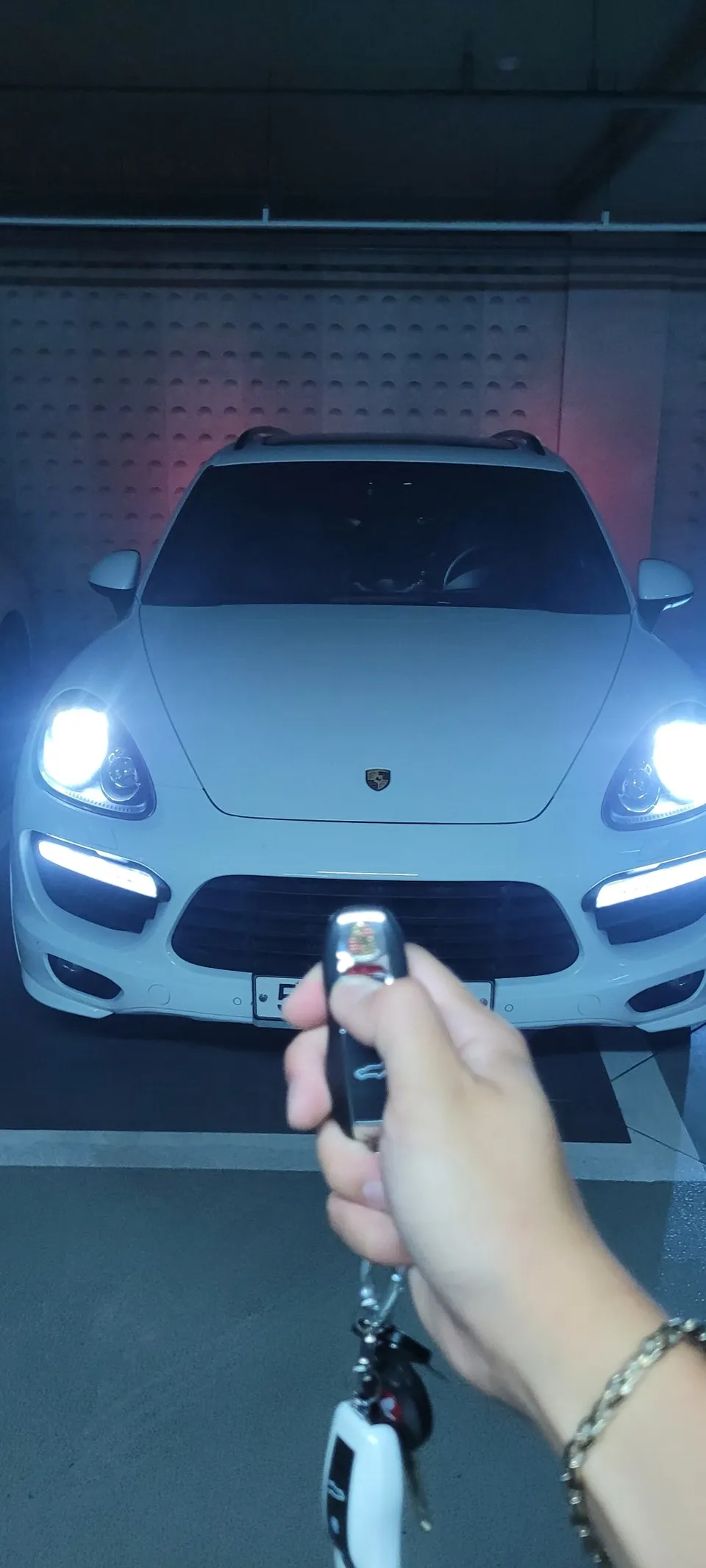 Porsche Cayenne oem options installation result