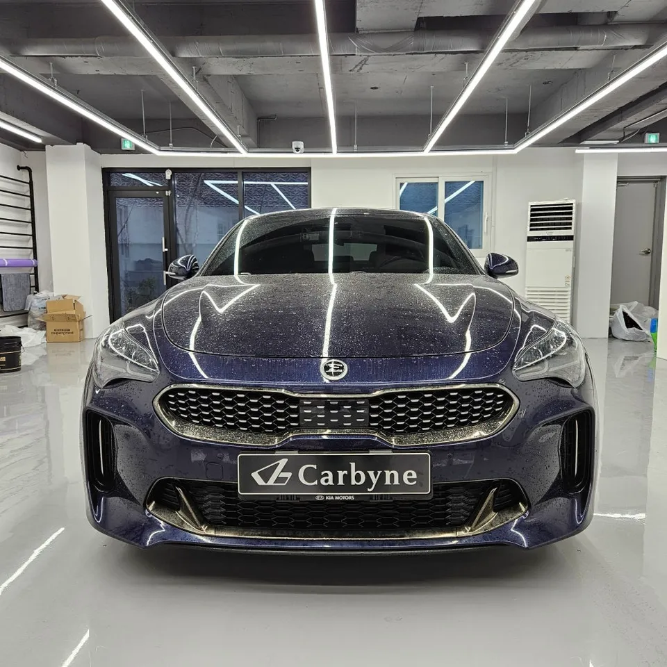 Kia Stinger Vinyl Wrap Review: Macaron Lavender High Gloss Full W