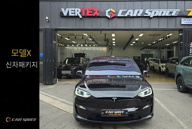 Tesla Model X window tinting review