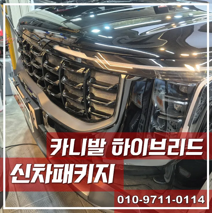 Kia Carnival Hybrid new car package installation result
