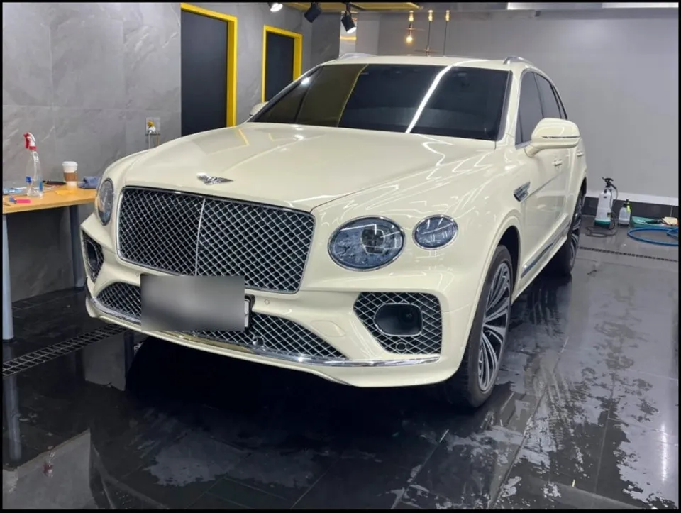Tesla Paint Quality Issues Explained — Why Owners Are Installing PPF Before Leaving the Dealership — photo 3