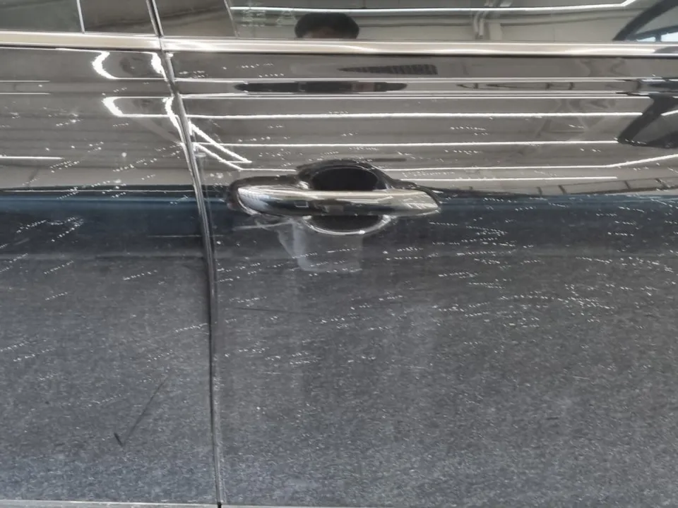Genesis G80 oem options - Genesis G80 OEM Options Review: Soft Close Doors photo 3