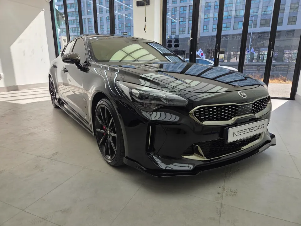 Kia Stinger PPF Re-installation Review — Insurance Claim Success photo 2
