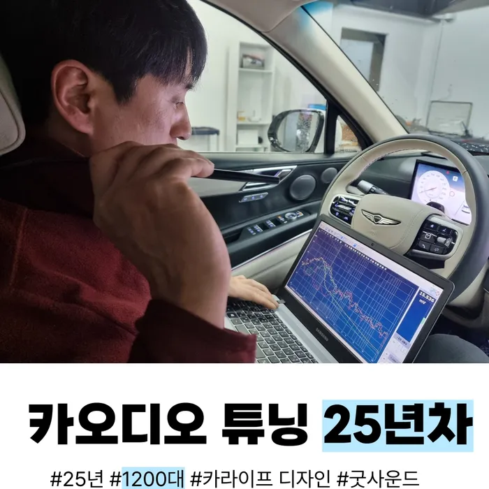 Lexus ES 300h car audio installation result