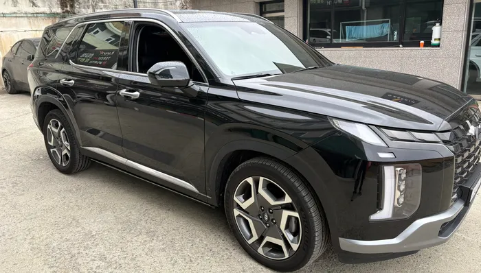 Hyundai Palisade body kit - Hyundai Palisade Electric Steps Review — Enhanced Convenience photo 4