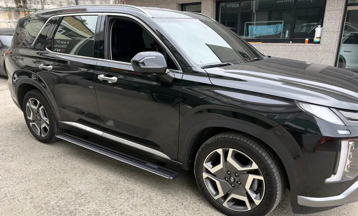 Hyundai Palisade body kit - Hyundai Palisade Electric Steps Review — Enhanced Convenience photo 5