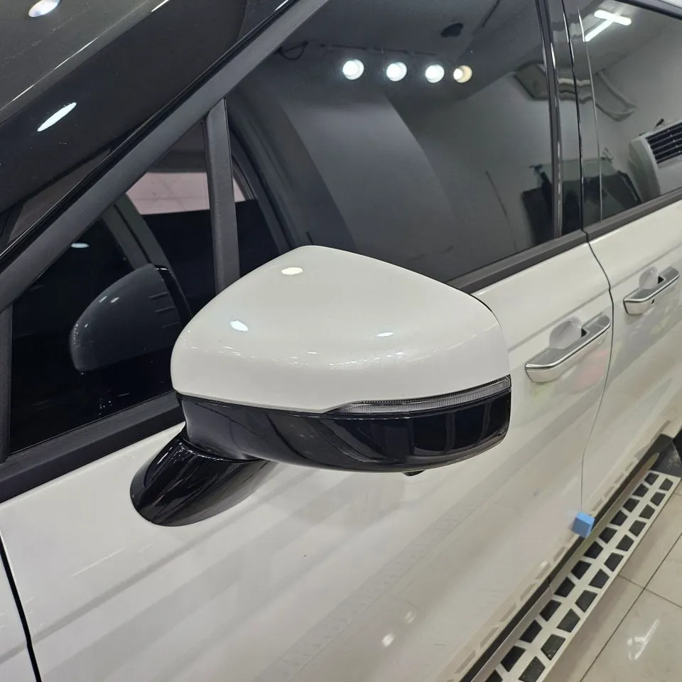Kia Carnival Hi-Limousine PPF施工事例|韓国での実例 施工写真 2-3