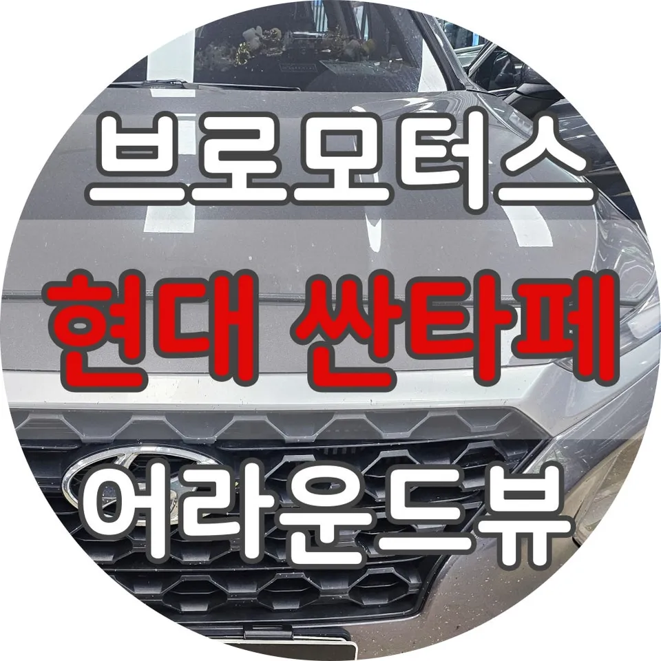 Hyundai Santa Fe TM surround view camera installation result