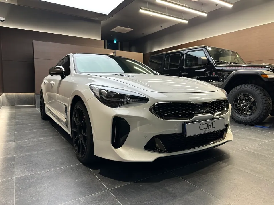 Kia Stinger vinyl wrap - Kia Stinger Vinyl Wrap Review: Cost & Results photo 3