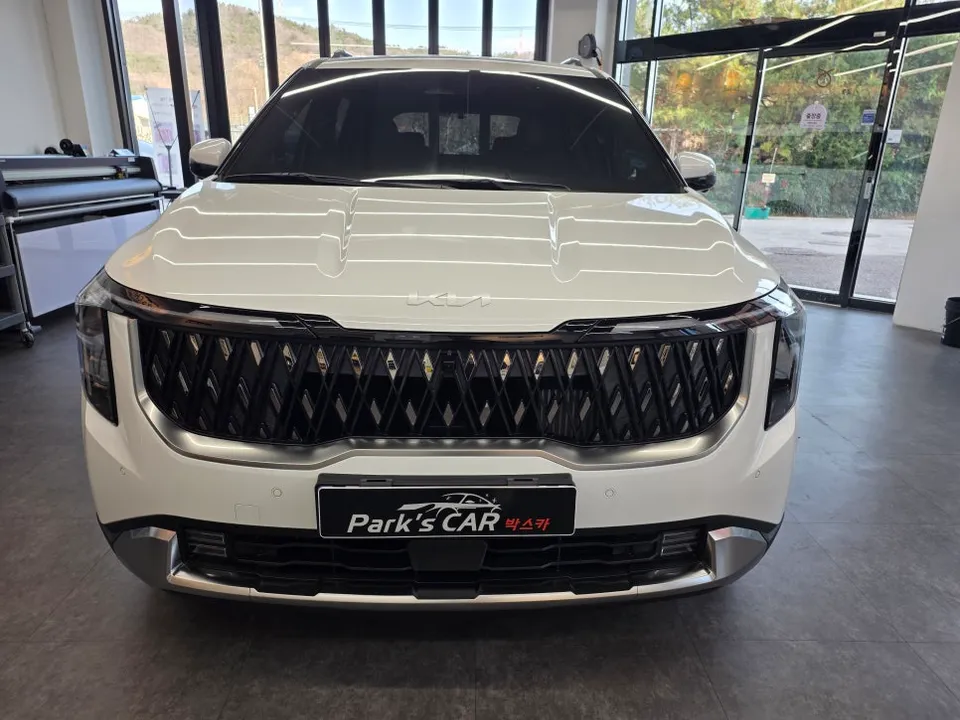 Kia Carnival ppf review