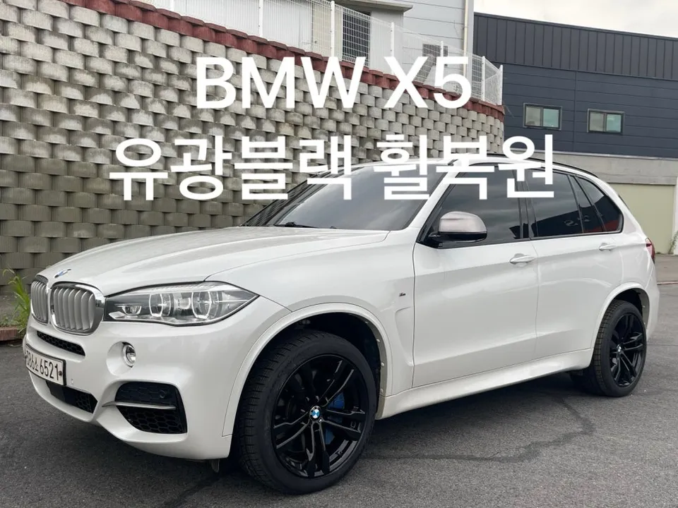 BMW X5 F15 Wheel Repair Review — Powder Coating for Curb Rash