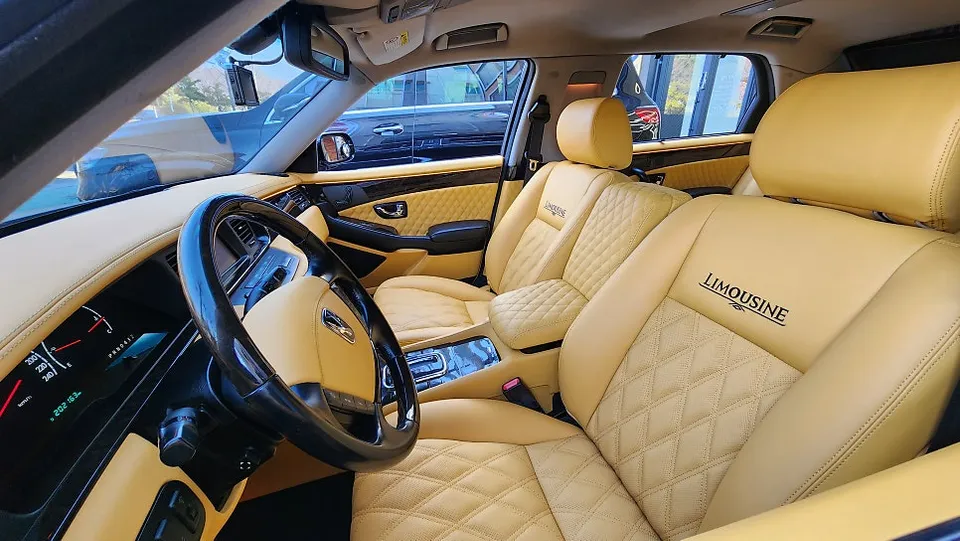 Hyundai Equus interior customization - Hyundai Equus Interior Customization Review: Deep Yellow photo 4