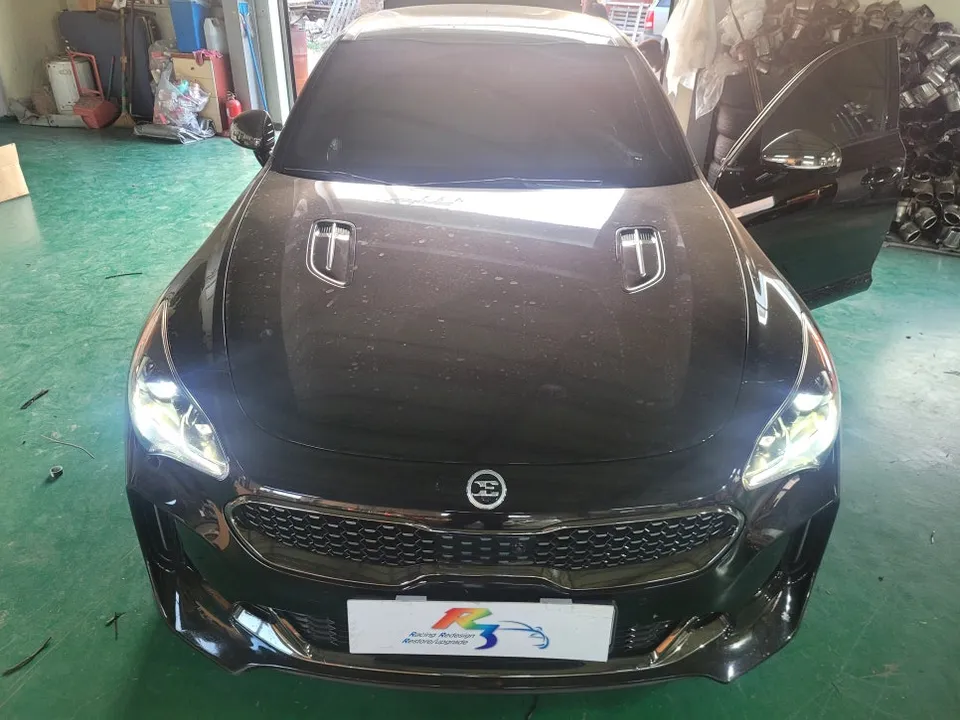 Kia Stinger LED Upgrade Review: Moving Lamps & Resistor Work Before